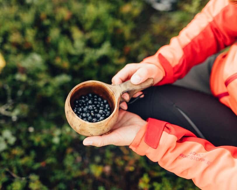 Saariselkä: Forest Treasures Excursion with Outdoor Lunch - Who Should Consider This Tour?
