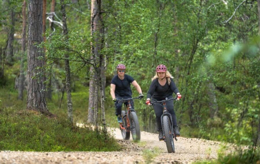Saariselkä: Guided E-Fatbike Trip at Muotka - Value and Overall Impression