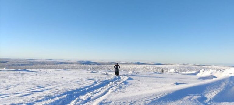 Saariselkä: Guided Fatbike Tour - The Sum Up