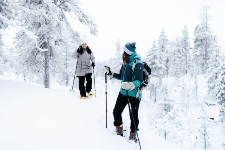 Saariselkä: GUIDED FOREST SNOWSHOE WALK - What You Can Expect Along the Way