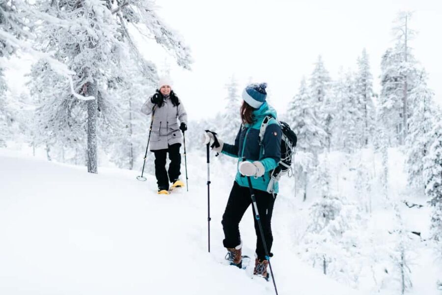 Saariselkä: GUIDED FOREST SNOWSHOE WALK - What You Can Expect Along the Way