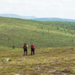 Saariselkä: Hiking Day with Lunch in Kiilopää - The Sum Up