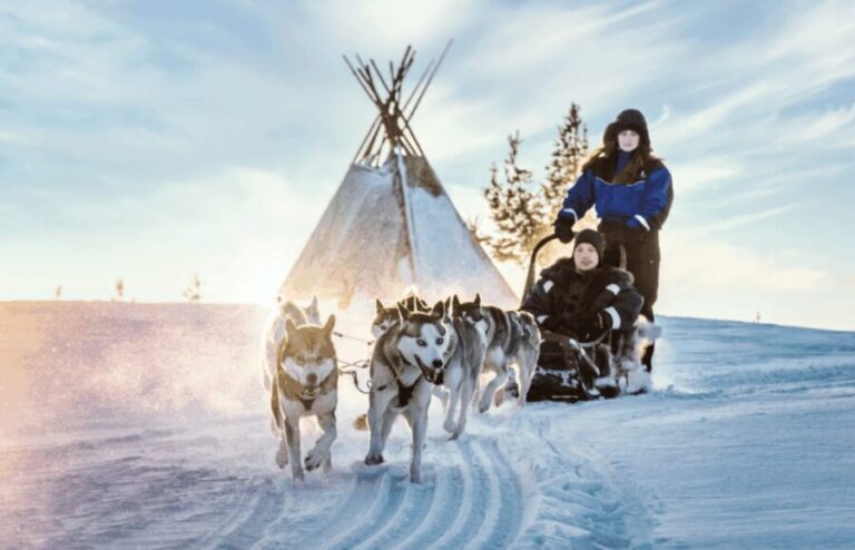 Saariselkä: Husky Safari with Aurora Borealis Hunt - The Itinerary in Detail