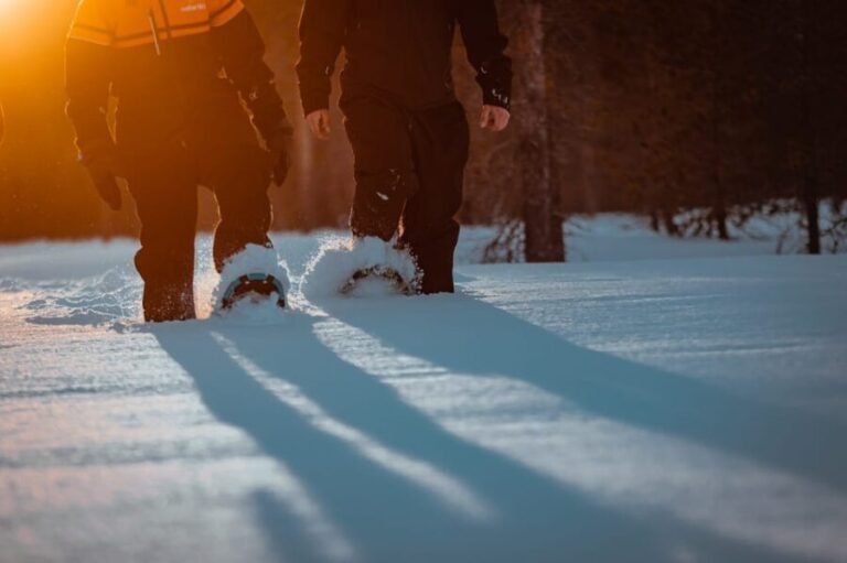 Saariselkä: Northern Lights Hunting Snowshoe Trip - The Snowshoeing Experience: Simple, Safe, Scenic