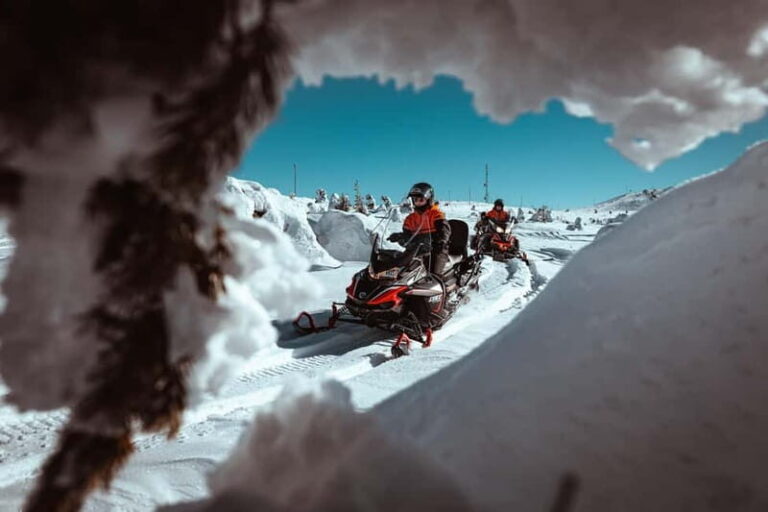 Saariselkä: One Hour Snowmobile Safari - Is It Worth It?