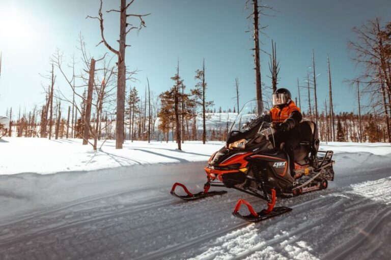 Saariselkä: Snowmobile Adventure for Adults - Navigating the Details: Price, Duration, and What’s Included
