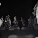 Saariselkä: Snowshoeing Tour in Urho Kekkonen National Park - Why This Snowshoe Tour Stands Out