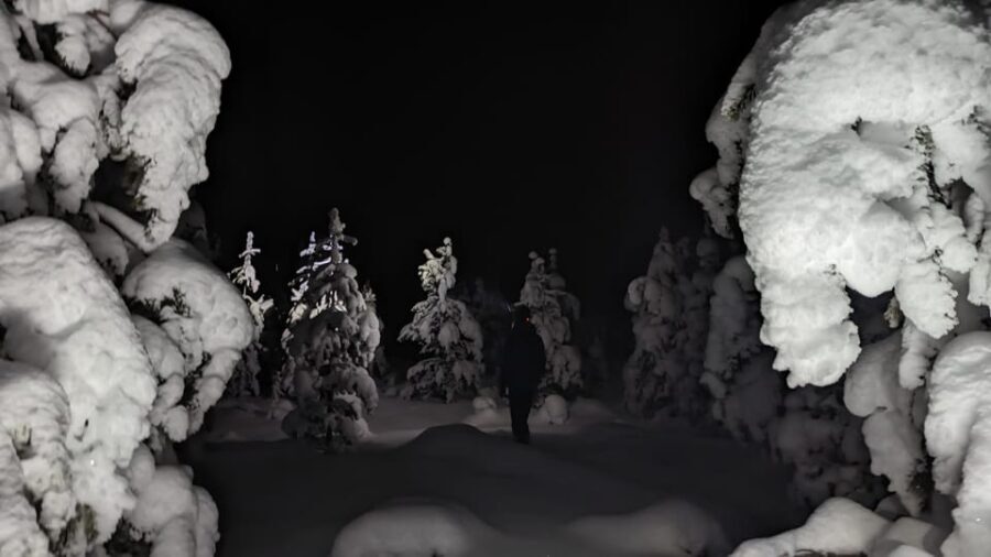 Saariselkä: Snowshoeing Tour in Urho Kekkonen National Park - Why This Snowshoe Tour Stands Out