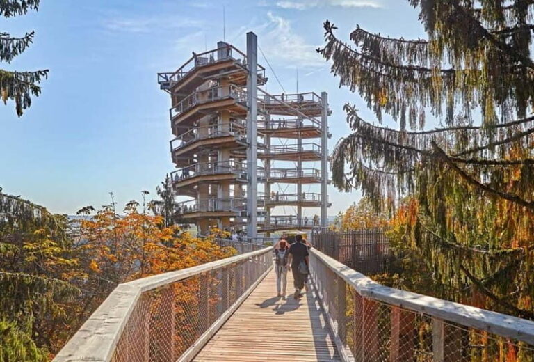 Saarland: Treetop Walk Saarschleife & Lookout Tower - Final Thoughts