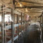 Sachsenhausen Private City tour - An Honest Look at the Sachsenhausen Private Tour