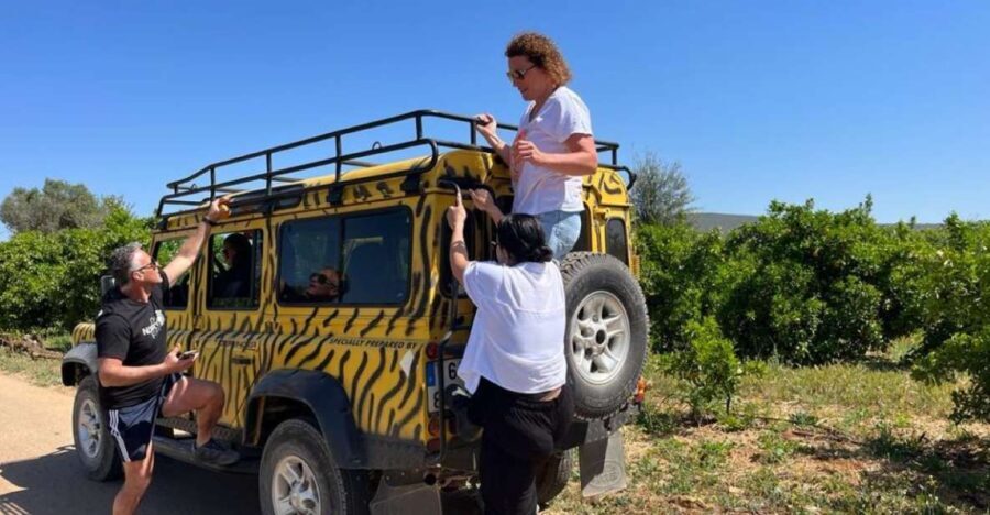 Safari & Boat Tour - Mountains & Dolphins - The Experience: What Real Travelers Say