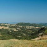 Safari Verde: nature, wildlife, and lunch in the woods - Who is this tour best for?