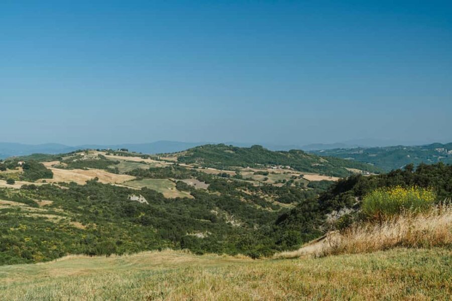 Safari Verde: nature, wildlife, and lunch in the woods - Who is this tour best for?