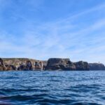 Sagres: Wildlife Tour Dolphins and Caves - The Itinerary Breakdown