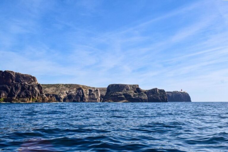 Sagres: Wildlife Tour Dolphins and Caves - The Itinerary Breakdown