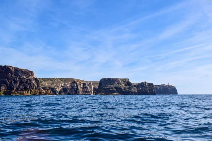 Sagres: Wildlife Tour Dolphins and Caves - The Itinerary Breakdown