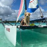 Sail away! Hobie Cat Tour Bacalar - Who Is This Tour Best For?
