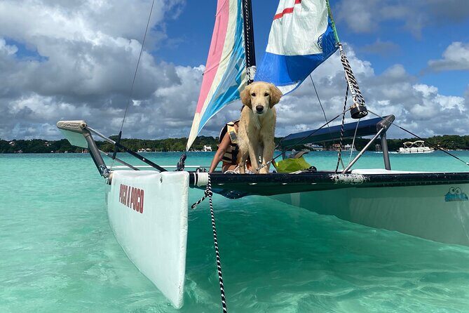 Sail away! Hobie Cat Tour Bacalar - Who Is This Tour Best For?