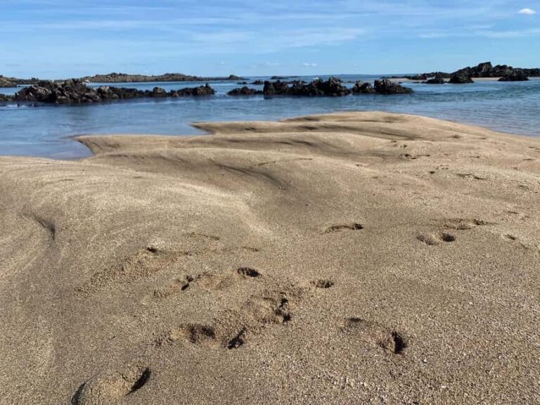 Sail to the heart of the bay. - The Experience in Detail