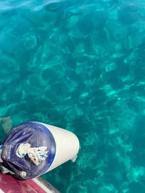 Sailing the Cilento coast: adventure, and serenity - The Highlight: Sauco Bay