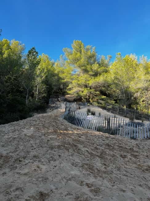 Saint-Cyr-sur-Mer: guided hike to the sand dune - Practical Details and What to Expect