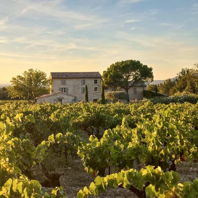 Saint-Didier: visit a vineyard & taste organic wines - Authentic Experiences and Genuine Praise from Guests