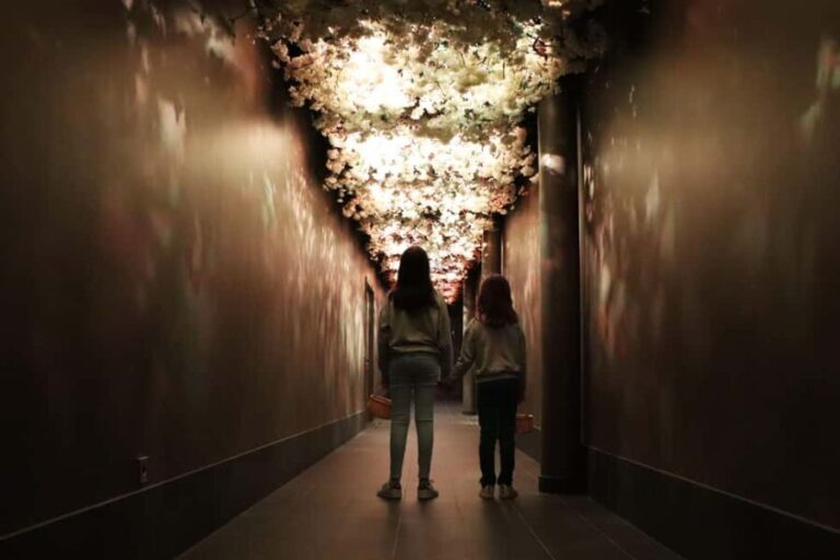 Saint Emilion: Family tour of the Maison Cardinale and tasting of three wines - Who Should Consider This Tour?