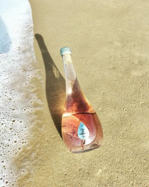 Saint-Émilion: Family Vineyard Visit with Wine Tasting - What You Can Expect from the Tour