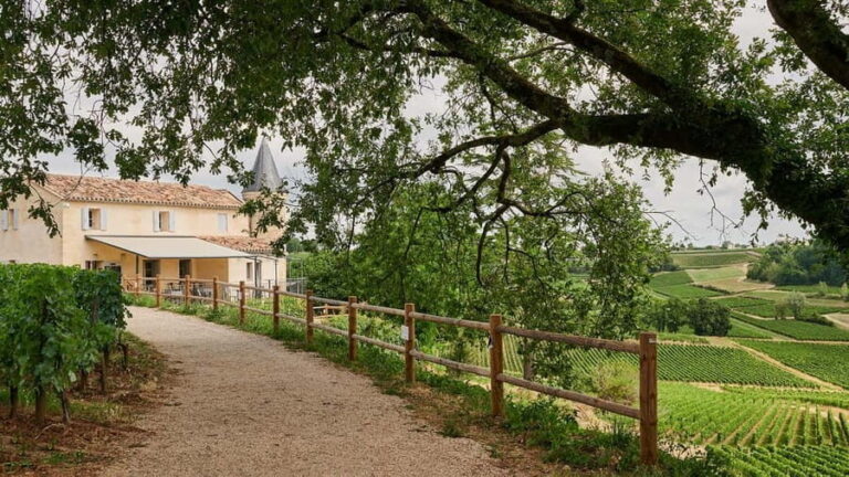 Saint-Emilion: Grand Cru Classé Guided Winery Visit & Picnic - The Itinerary in Detail