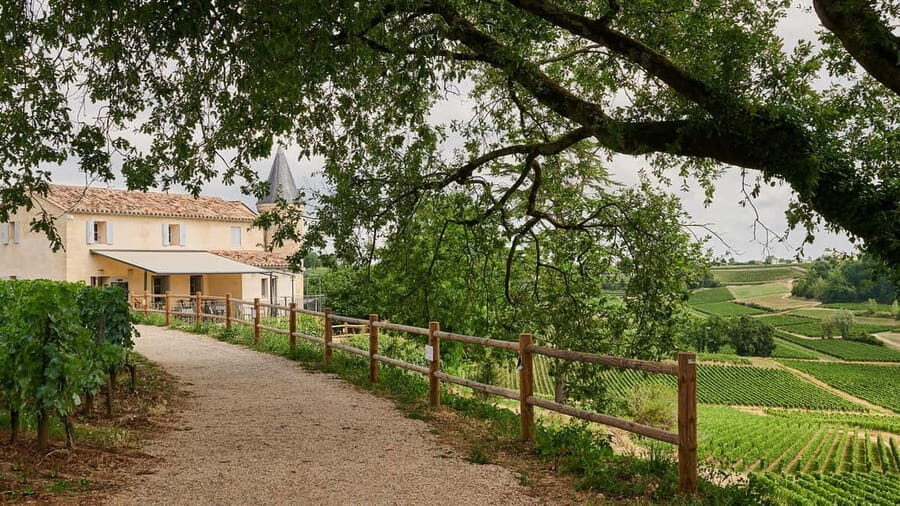 Saint-Emilion: Grand Cru Classé Guided Winery Visit & Picnic - The Itinerary in Detail