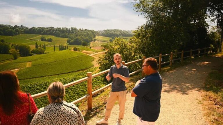 Saint-Émilion: Grand Cru Classé Winery Visit and Tasting - The Real Value of This Tour