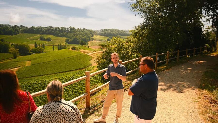 Saint-Émilion: Grand Cru Classé Winery Visit and Tasting - The Real Value of This Tour