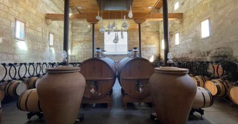 Saint-Emilion : half-day wine-tour into classified estates - The Value: Is It Worth It?