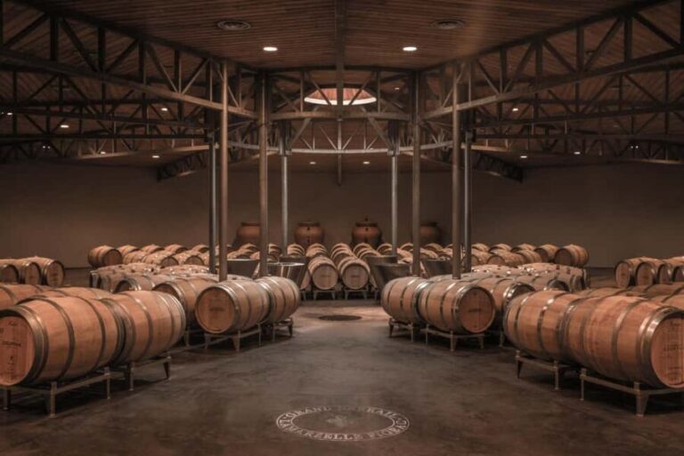 Saint-Émilion: Origin Tour - Tasting of 5 wines - The Cellar and Location