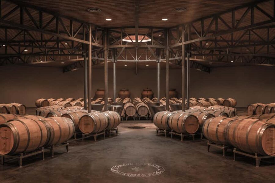 Saint-Émilion: Origin Tour - Tasting of 5 wines - The Cellar and Location