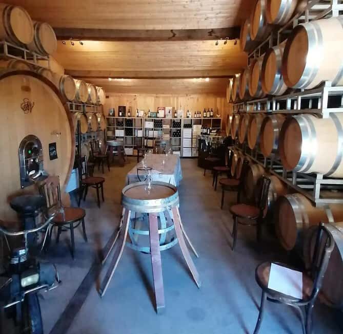 Saint-Emilion : Tasting of 4 wines in a family vineyard - What To Expect During the Visit