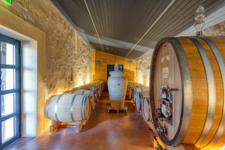 Saint-Emilion: Visit a family-run organic vineyard - What to Expect During the Tour