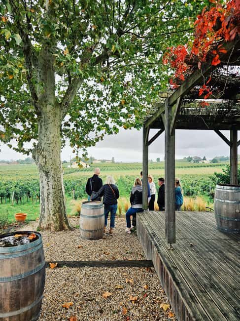 Saint-Émilion: Wine and chocolate pairing in the heart of a winery's vineyards - Who should consider this tour?