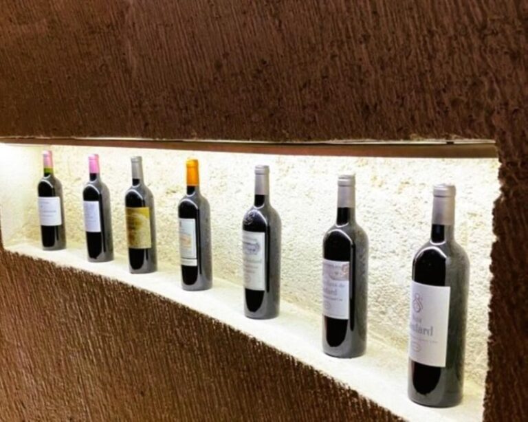 Saint-Emilion: Wine Region Tour w/ Wine Tasting & Aperitifs - What’s Great About This Tour
