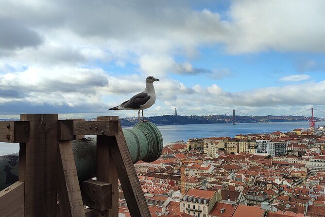 Saint George Castle Guided Tour from Lisbon - The Itinerary: What to Expect