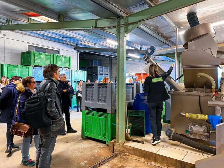 Saint Gilles: Tour of an olive oil mill in an organic olive grove - Relaxed, Authentic, and Accessible