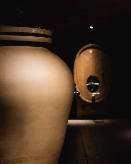 Saint-Nicolas-de-Bourgueil: Food and Wine Pairing Tour - The Practicalities