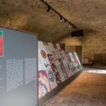 Sala Baganza: Wine Museum Ticket - Who Will Appreciate This Tour?