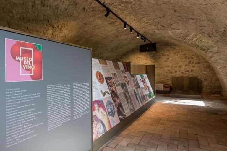 Sala Baganza: Wine Museum Ticket - Who Will Appreciate This Tour?