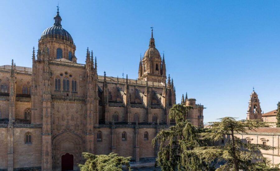 Salamanca: Cathedral of Salamanca Ticket with Audio Guide - Practical Details: What You Should Know Before Visiting