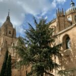 Salamanca Genial Tour privado - Inside the Experience: What to Expect