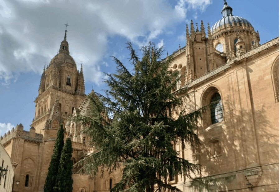 Salamanca Genial Tour privado - Inside the Experience: What to Expect