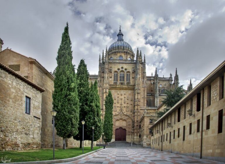 Salamanca: Private tour of the most important sites - Is It Worth the Price?