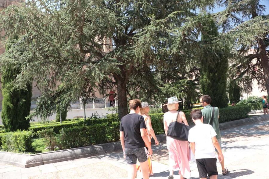 Salamanca: Private Walking Tour with a Local - What to Expect on the Tour