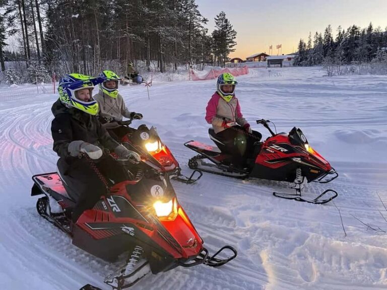 Sälen: Mini Snowmobile Adventure on Private Track - The Experience in Detail